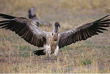 《THE FINALS》支持光线追踪全局照明和DLSS3