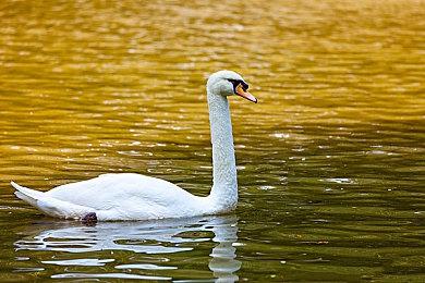 《杀戮小队》总监：PlayStation独占是很自然的事情