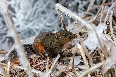 Fami通新作评分：《掘地求升》团队新作仅获31分！